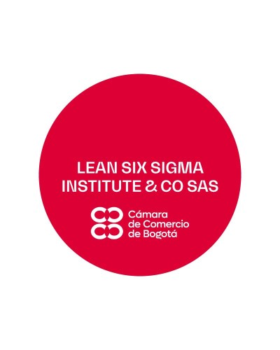 LEAN SIX SIGMA INSTITUTE & CO SAS