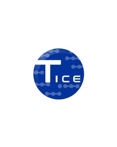 TECNA INTEGRITY AND CORROSION ENGINEERING S.A. TECNA ICE S.A.