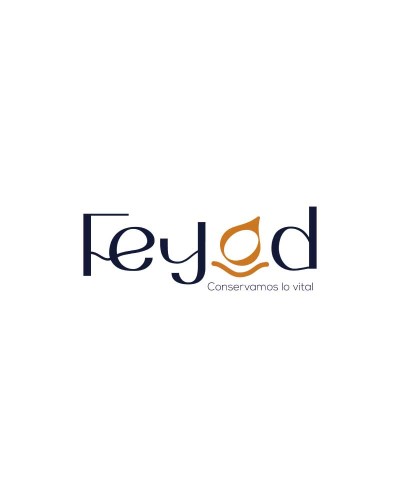 GRUPO FEYOD SAS