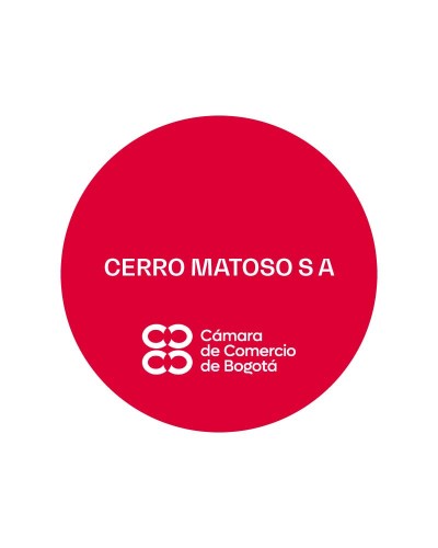 CERRO MATOSO S A