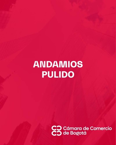 ANDAMIOS PULIDO