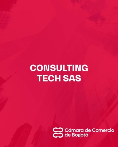 CONSULTING TECH SAS
