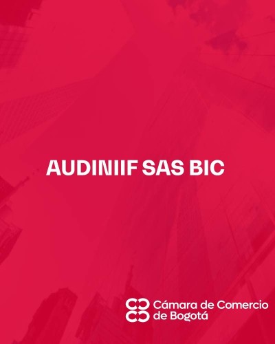 AUDINIIF SAS BIC