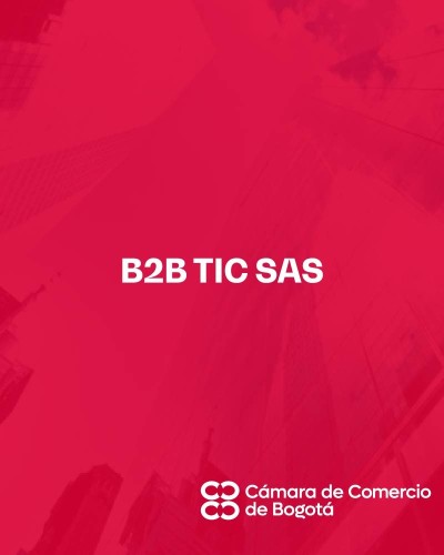 B2B TIC SAS