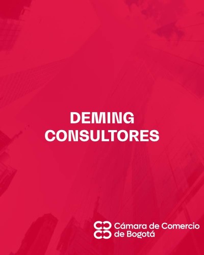 DEMING CONSULTORES