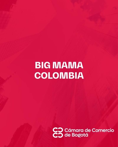 BIG MAMA COLOMBIA SAS