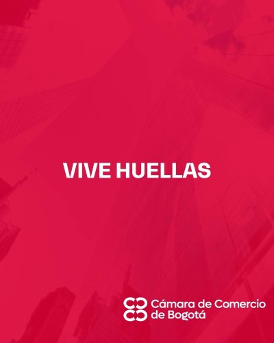 BLUE INVESTMENT GROUP SAS - VIVE HUELLAS