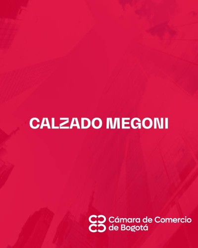 CALZADO MEGONI