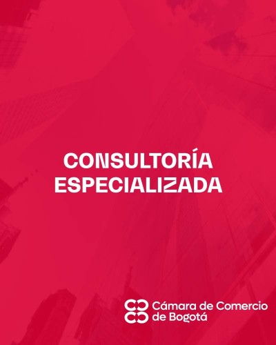CONSULTORÍA ESPECIALIZADA