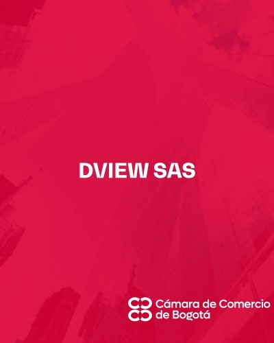 DVIEW SAS