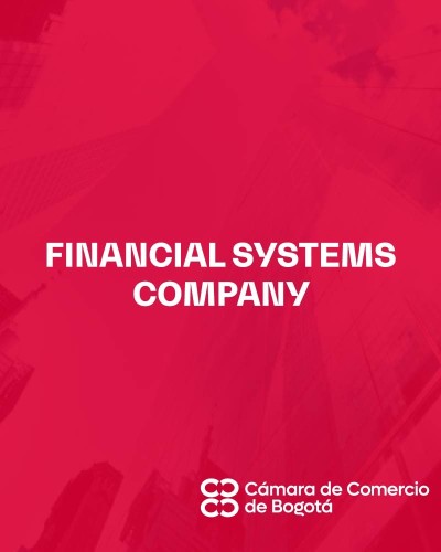 FINANCIAL SYSTEMS COMPANY