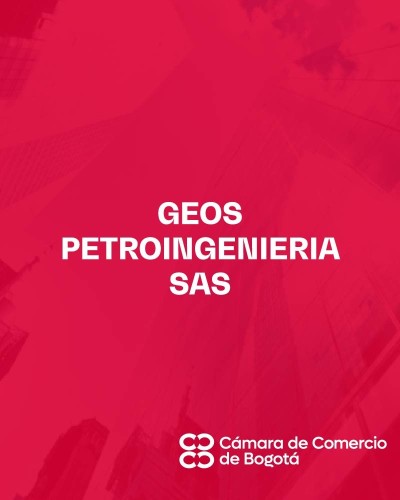 GEOS PETROINGENIERIA SAS