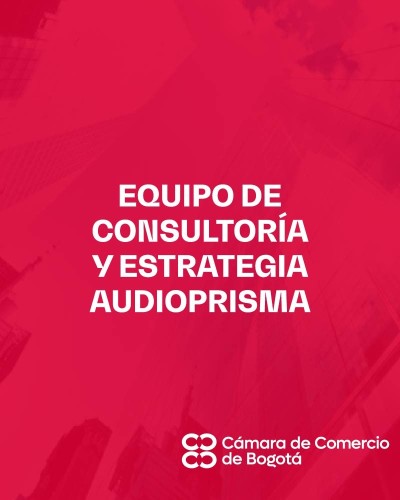 EQUIPO DE CONSULTORÍA Y ESTRATEGIA AUDIOPRISMA