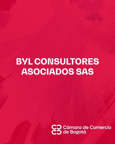 BYL CONSULTORES ASOCIADOS SAS