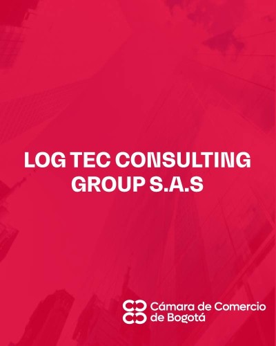 LOG TEC CONSULTING GROUP SAS