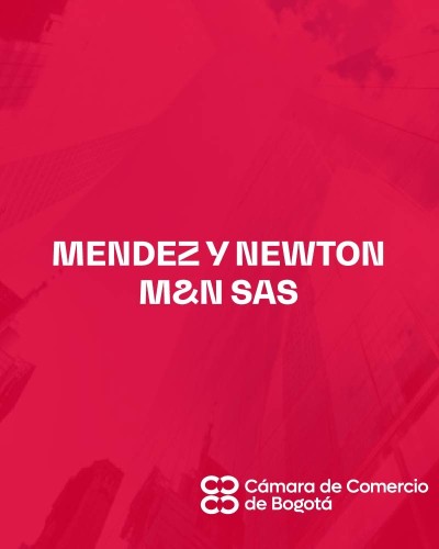 MENDEZ Y NEWTON M&N SAS