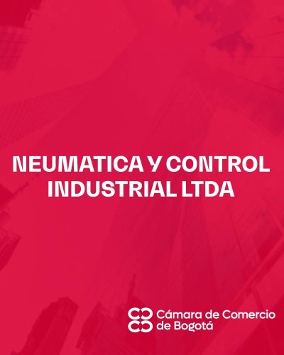 NEUMATICA Y CONTROL INDUSTRIAL LTDA