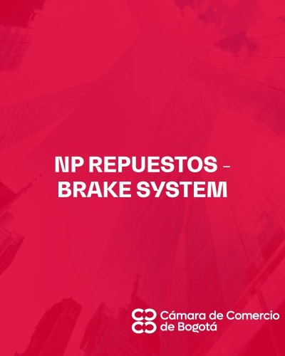 NP REPUESTOS - BRAKE SYSTEM
