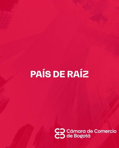 PAÍS DE RAÍZ