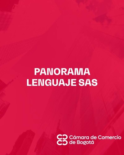 PANORAMA LENGUAJE SAS