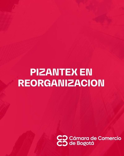 PIZANTEX EN REORGANIZACION
