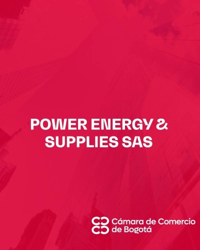 POWER ENERGY & SUPPLIES SAS