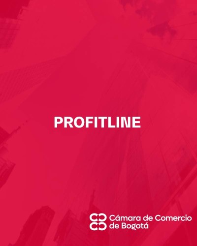 PROFITLINE