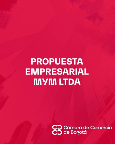 PROPUESTA EMPRESARIAL MYM LTDA