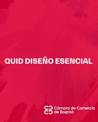 QUID DISEÑO ESENCIAL