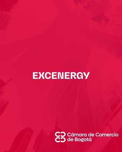 EXCENERGY