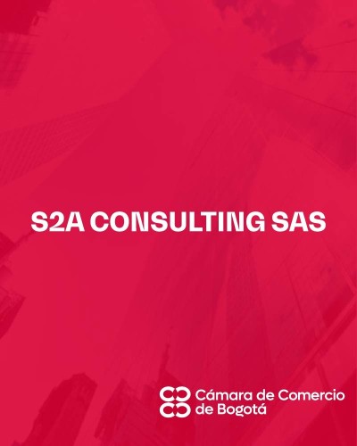 S2A CONSULTING SAS