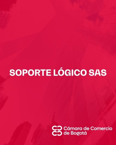 SOPORTE LÓGICO SAS