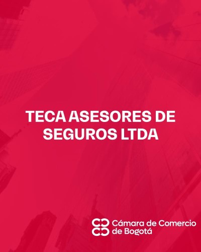 TECA ASESORES DE SEGUROS LTDA