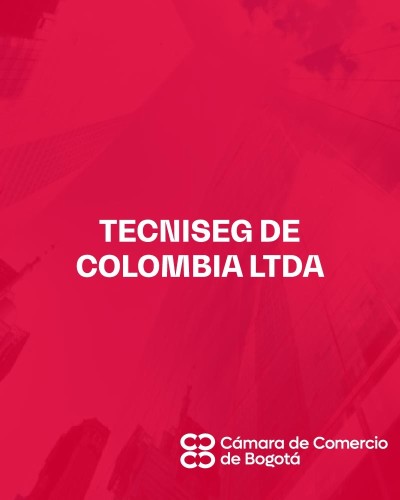 TECNISEG DE COLOMBIA LTDA