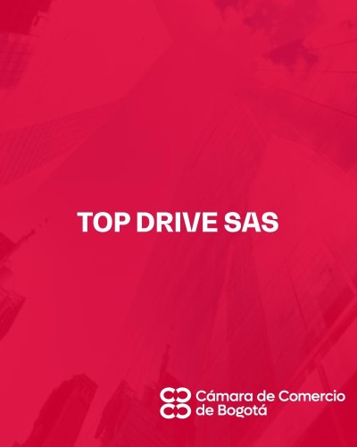 TOP DRIVE SAS