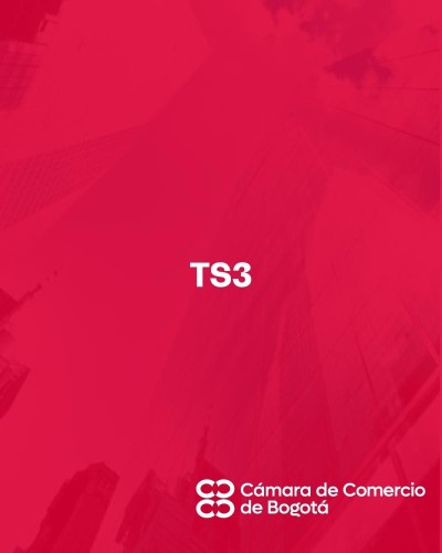 TS3