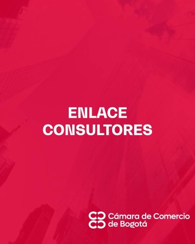 ENLACE CONSULTORES
