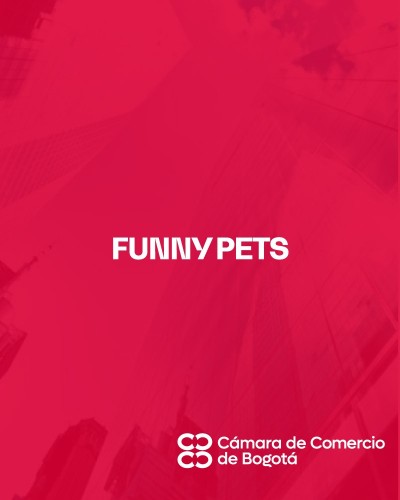 FUNNY PETS