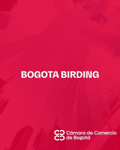 BOGOTA BIRDING