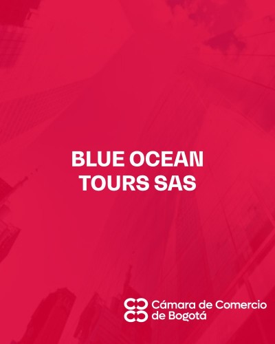 BLUE OCEAN TOURS SAS