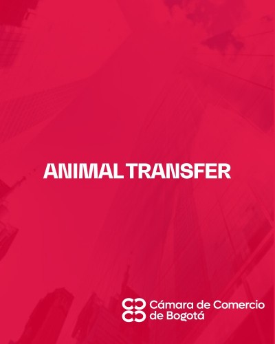 ANIMAL TRANSFER
