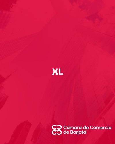 XL.