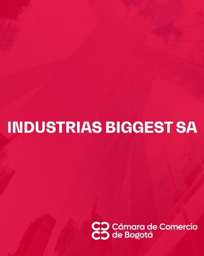 INDUSTRIAS BIGGEST SA