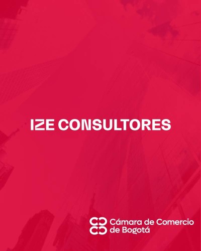 IZE CONSULTORES