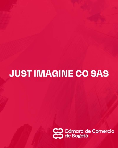 JUST IMAGINE CO SAS