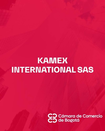 KAMEX INTERNATIONAL SAS