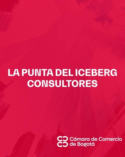 LA PUNTA DEL ICEBERG CONSULTORES
