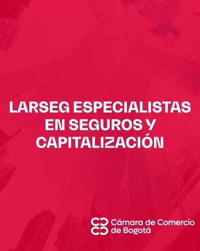 LARSEG ESPECIALISTAS EN SEGUROS Y CAPITALIZACIÓN
