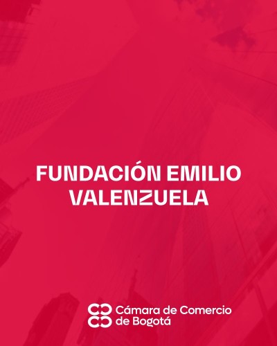 FUNDACIÓN EMILIO VALENZUELA