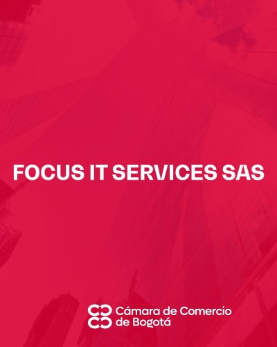 FOCUS IT SERVICES SAS
